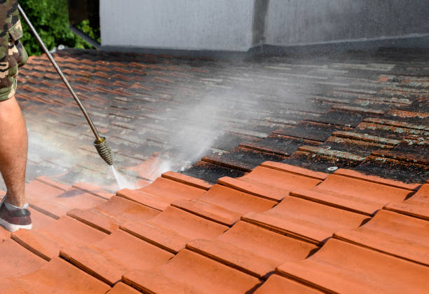 Best Roof Power Washing Services  in Poinciana, FL