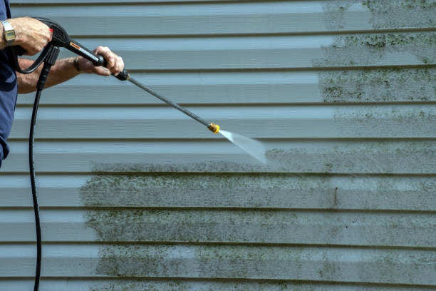 Best Affordable Power Washing  in Poinciana, FL