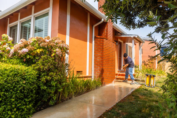 Best Roof Power Washing Services  in Poinciana, FL